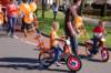 dsc_0193_small.jpg