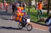 dsc_0213_small.jpg