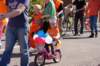 dsc_0248_small.jpg