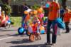 dsc_0258_small.jpg