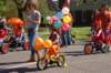 dsc_0264_small.jpg