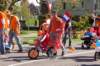 dsc_0265_small.jpg