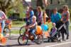 dsc_0277_small.jpg