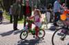 dsc_0287_small.jpg