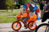 dsc_0290_small.jpg