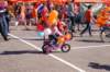 dsc_0308_small.jpg