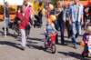 dsc_0314_small.jpg