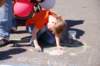 dsc_0358_small.jpg