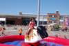 dsc_0374_small.jpg
