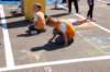 dsc_0387_small.jpg