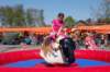 dsc_0391_small.jpg