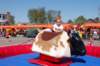 dsc_0394_small.jpg