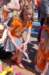 dsc_0441_small.jpg