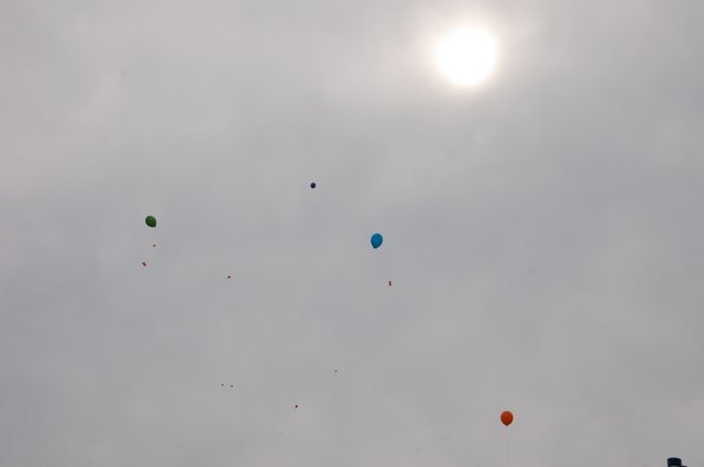 dsc_0509.jpg
