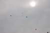 dsc_0509_small.jpg