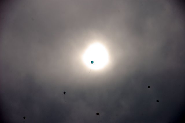 dsc_0514.jpg
