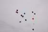 dsc_0515_small.jpg
