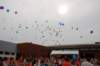 dsc_0521_small.jpg