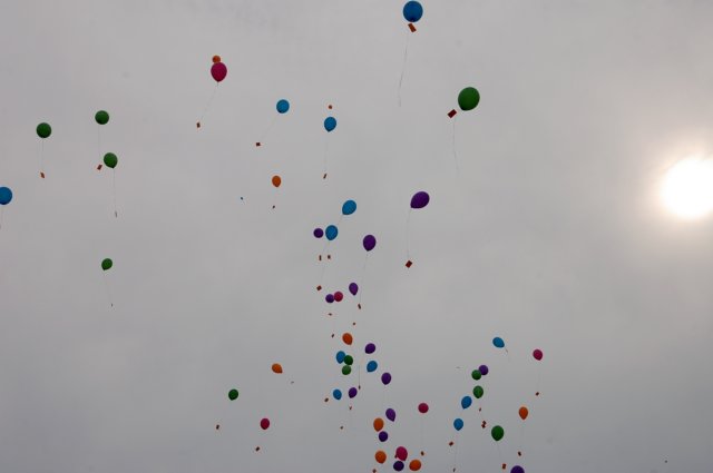 dsc_0524.jpg