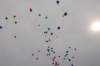 dsc_0524_small.jpg
