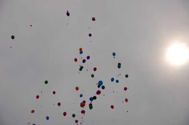 dsc_0526.jpg