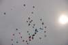 dsc_0526_small.jpg
