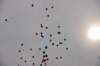 dsc_0527_small.jpg