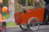dsc_0081_small.jpg
