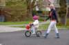 dsc_0088_small.jpg