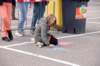 dsc_0120_small.jpg