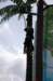dsc_0150_small.jpg