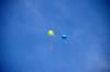 dsc_0167_small.jpg