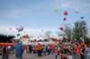 dsc_0172_small.jpg