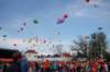 dsc_0174_small.jpg