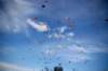 dsc_0176_small.jpg