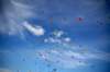 dsc_0177_small.jpg