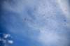 dsc_0179_small.jpg