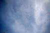 dsc_0180_small.jpg