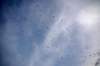 dsc_0181_small.jpg