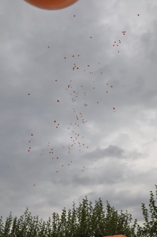 _172450_dsc4303.jpg