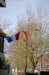 dsc_0012_small.jpg