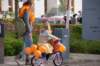 dsc_0015_small.jpg