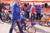 dsc_0078_small.jpg
