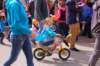 dsc_0081_small.jpg