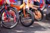 dsc_0108_small.jpg