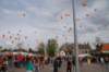 dsc_0245_small.jpg