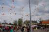 dsc_0247_small.jpg