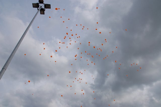 dsc_0249.jpg