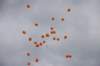dsc_0251_small.jpg