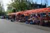 dsc_2496_small.jpg